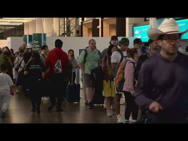 alaska airlines alaska airlines flights alaska airlines grounded alaska airlines ground stop alaska airlines requests ground stop alaska airlines news alaska airlines flights grounded faa alaska airlines ground stop alaska air alaska airlines outage faa alaska airlines alaska airlines ground stop faa alaska airlines flight status alaska ground stop alaska airline alaskan airlines alaska airlines it outage alaska airlines grounds fleet alaska flights grounded alaska airlines grounded today faa alaska airlines ground stop today seatac airport seatac alaska air ground stop